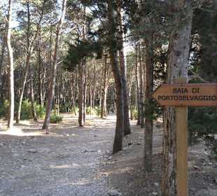 Bosco Porto Selvaggio