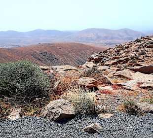 Inselrundfahrt Tagestour
