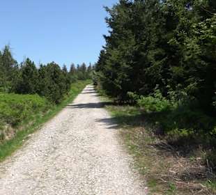 Wandergebiet Ruhestein