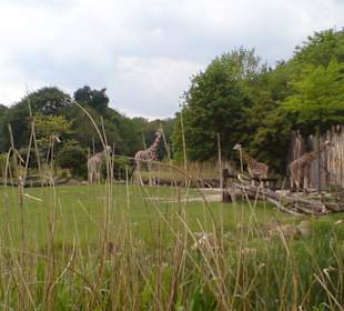 Zoo Leipzig