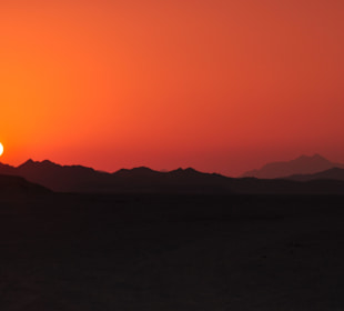 Desert Sunset