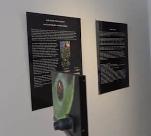 Museum für Ur- und Frühgeschichte