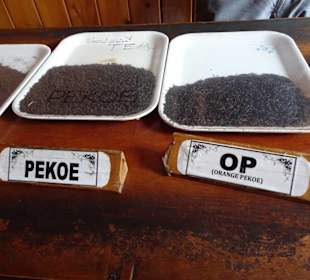 Hochland von Sri Lanka