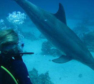 Ausbildung mit Tümmler