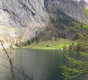 Obersee