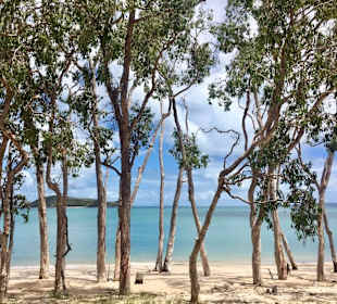 Schattenspender am Strand