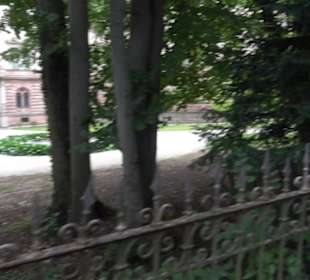 Schlosspark St. Emmeram
