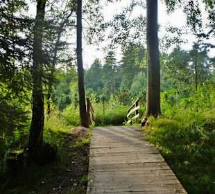 Směrem k železniční zastávce