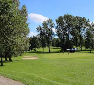 Hügeliges Gelände mit Bäumen und Bunkern