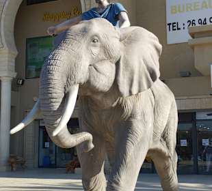 Einkaufen & Shopping