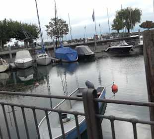 Yachthafen Langenargen