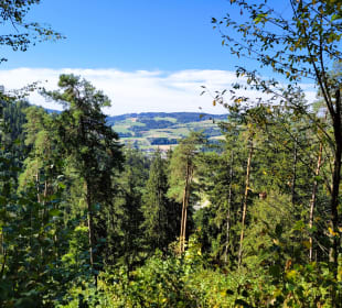 Toller Panoramablick