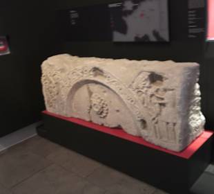 Rheinisches Landesmuseum