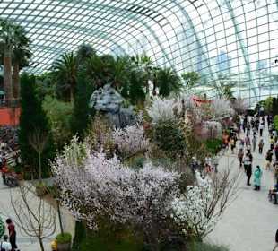 Gardens by the Bay
