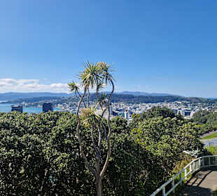 Botanischer Garten Wellington