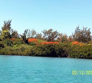 Anfahrt auf die Ile aux Cerfs