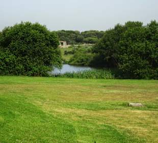 Hügel und Wasserflächen prägen den Park am Meer