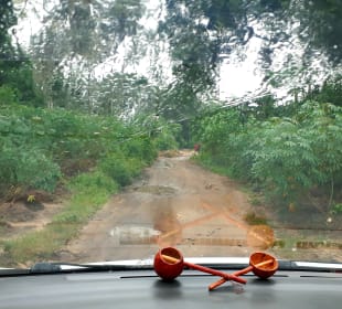 Der Weg ist das Ziel