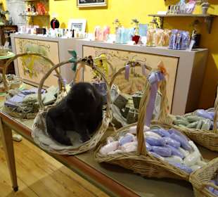 В парфюмерном магазине Грасса