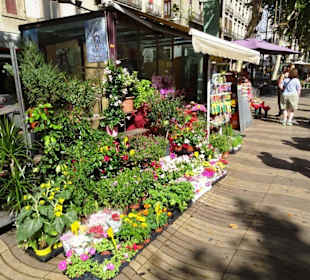 Impressionen von der Rambla