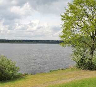 Impressionen von der Thülsfelder Talsperre