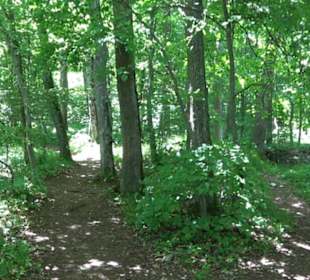Friedrichsfels
