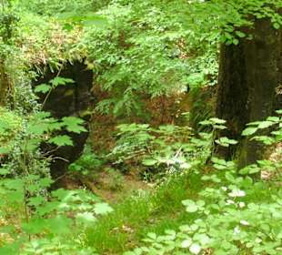 Abwechslungsreiche Landschaft
