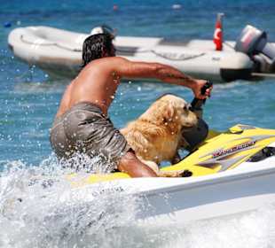 Jet-Ski mit Hund
