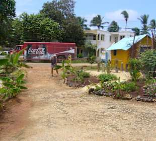 Las Galeras Sunshine Holiday, Turinter