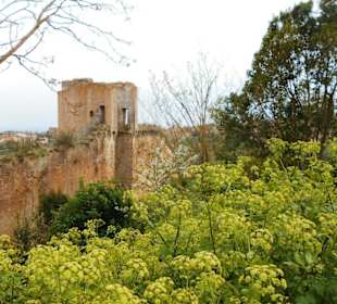 Stadtmauern von Siena