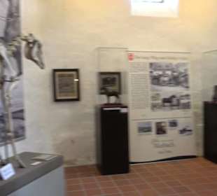 Gestütsmuseum Offenhausen
