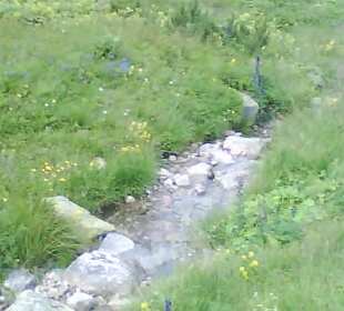 Tatrzański Park Narodowy