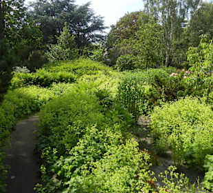 Parkanlage Planten un Blomen