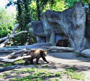 Tierpark Hagenbeck
