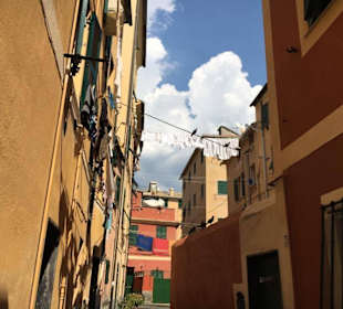 Genua