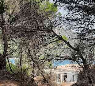 Wandern Cala Ratjada