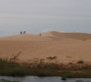 Wie in der Sahara