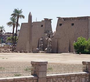 Luxorausflug