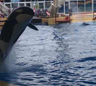 Loro Parque