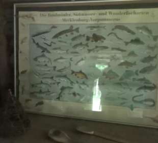 Slawendorf Neustrelitz