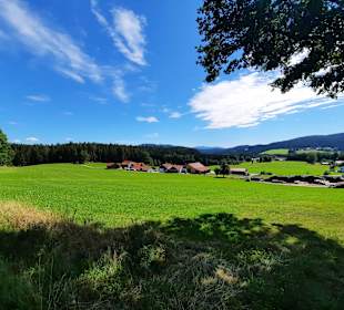 Wandern Arnbruck