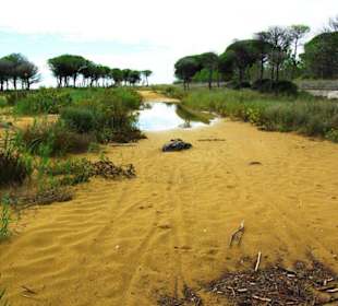 Ende September 2010 Inspirationen