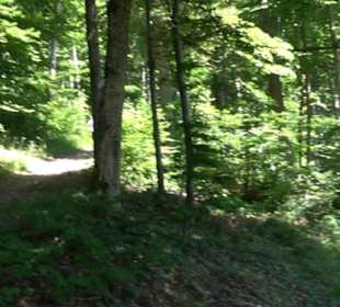 Ruine Hohenmelchingen