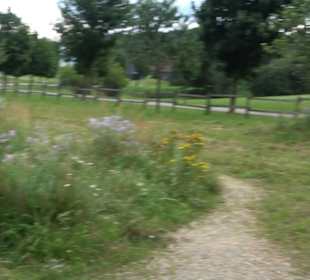 ALB-GOLD Naturgarten