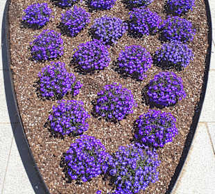 Stadtrundgang Castell-Platja d’Aro