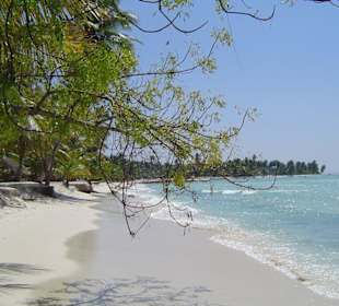 Saona