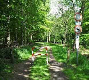 Spaziergang durch den Stadtwald Oldenburg