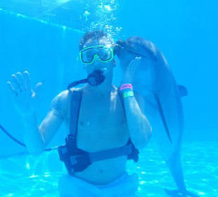 Dolphin dive experience