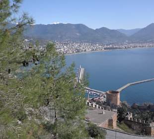 Ein warmer Januar Tag