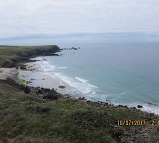 Lizard Point